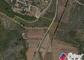 Foto 18 - Terreno agricolo Via Cesullo
333, Fondi - foto 8