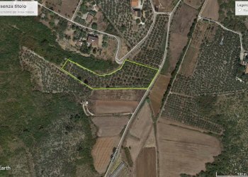 Foto 19 - Terreno agricolo Via Cesullo
333, Fondi - foto 9