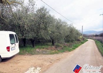 Foto 20 - Terreno agricolo Via Cesullo
333, Fondi - foto 10