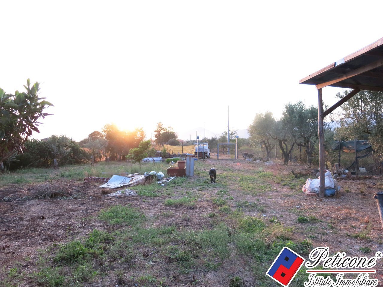 Foto 28 - Terreno agricolo Via del Tirozzo
 
31, Fondi - foto 3