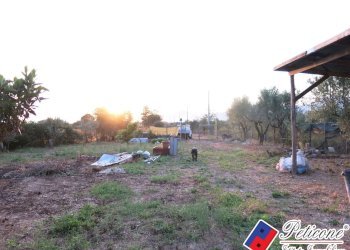 Foto 28 - Terreno agricolo Via del Tirozzo
31, Fondi - foto 3