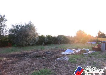 Foto 32 - Terreno agricolo Via del Tirozzo
31, Fondi - foto 7