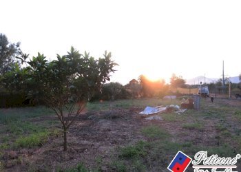 Foto 38 - Terreno agricolo Via del Tirozzo
31, Fondi - foto 13