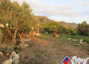 Foto 41 - Terreno agricolo Via del Tirozzo
31, Fondi - foto 16