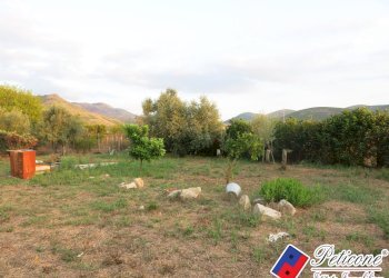 Foto 42 - Terreno agricolo Via del Tirozzo
31, Fondi - foto 17