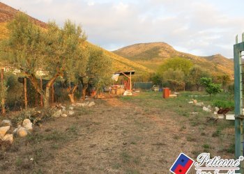 Foto 43 - Terreno agricolo Via del Tirozzo
31, Fondi - foto 18