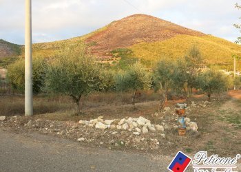 Foto 44 - Terreno agricolo Via del Tirozzo
31, Fondi - foto 19