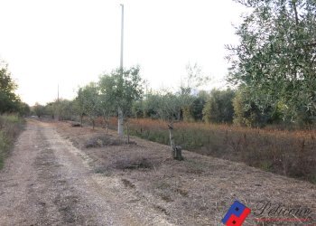 Foto 45 - Terreno agricolo Via del Tirozzo
31, Fondi - foto 20