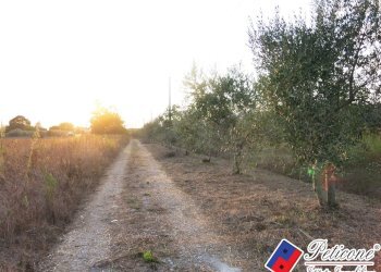 Foto 46 - Terreno agricolo Via del Tirozzo
31, Fondi - foto 21