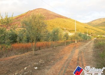 Foto 49 - Terreno agricolo Via del Tirozzo
31, Fondi - foto 24