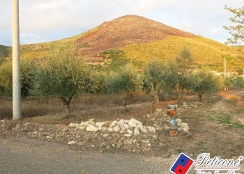 Foto 50 - Terreno agricolo Via del Tirozzo
31, Fondi - foto 25