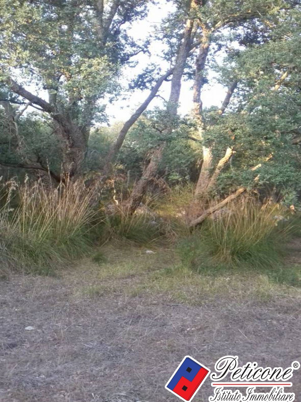 Foto 20 - Terreno agricolo S. Marco, Itri - foto 1
