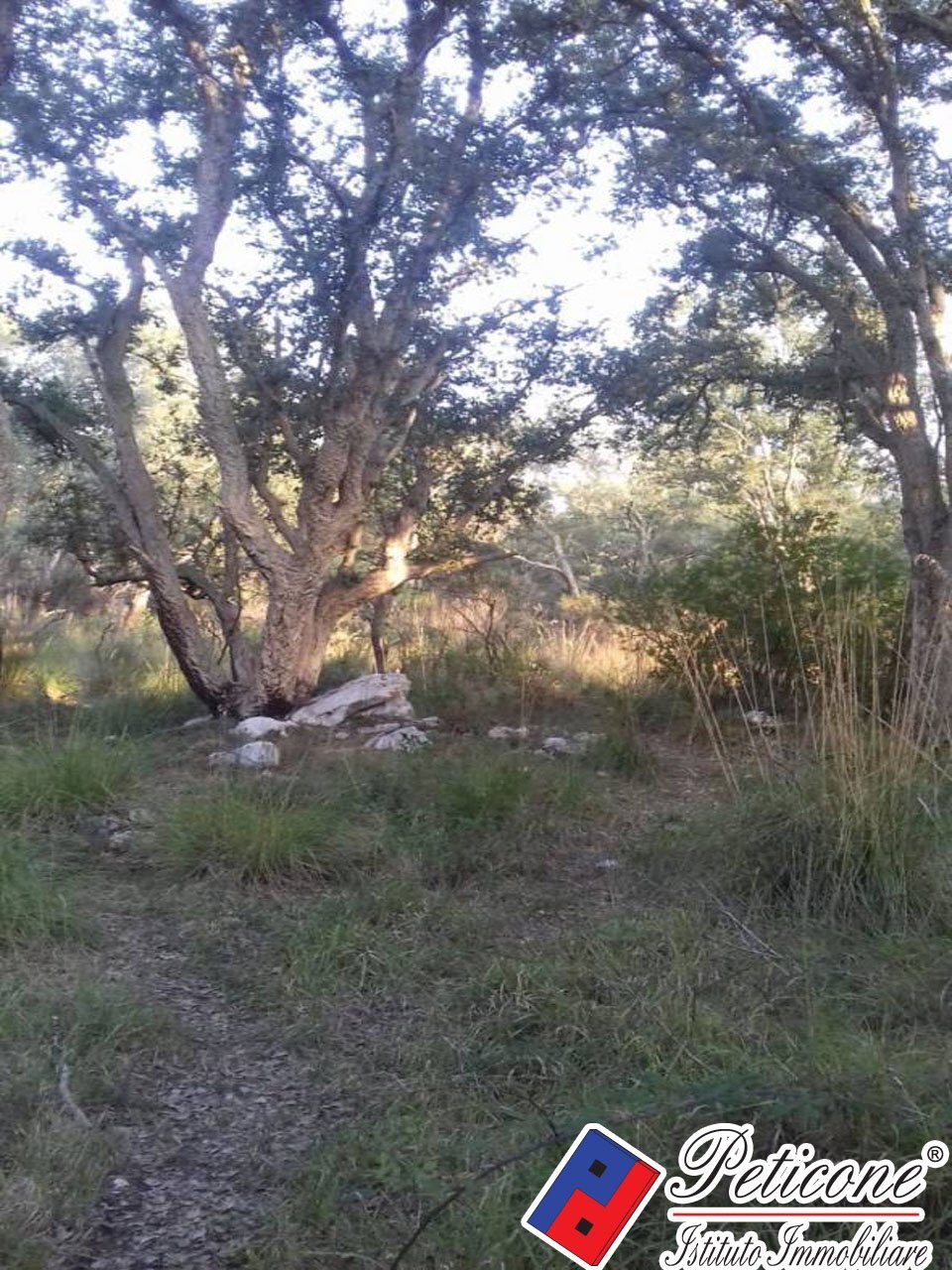 Foto 21 - Terreno agricolo S. Marco, Itri - foto 2