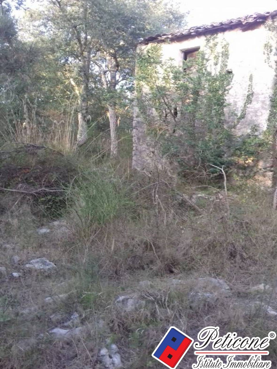 Foto 22 - Terreno agricolo S. Marco, Itri - foto 3