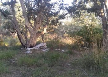 Foto 21 - Terreno agricolo S. Marco, Itri - foto 2