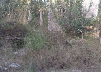 Foto 27 - Terreno agricolo S. Marco, Itri - foto 8