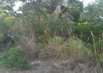 Foto 29 - Terreno agricolo S. Marco, Itri - foto 10