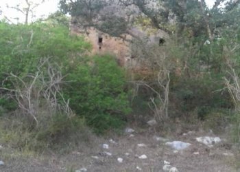 Foto 30 - Terreno agricolo S. Marco, Itri - foto 11