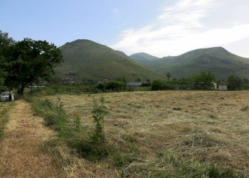 Foto 14 - Terreno agricolo Via Casoni, Fondi - foto 4