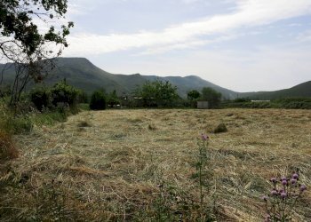 Foto 15 - Terreno agricolo Via Casoni, Fondi - foto 5