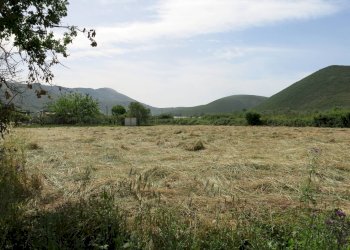 Foto 16 - Terreno agricolo Via Casoni, Fondi - foto 6