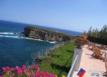 Foto 9 - Commercial Activity Via Olivi
 
95, Ventotene - photo 9