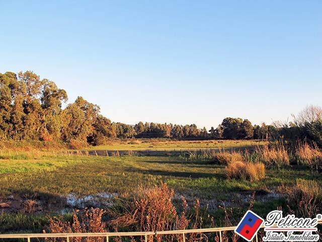 Foto 3 - Agricultural land Via Strada Consortile, Fondi - photo 3
