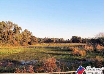 Foto 3 - Terreno agricolo Via Strada Consortile, Fondi - foto 3