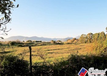 Foto 4 - Terreno agricolo Via Strada Consortile, Fondi - foto 4