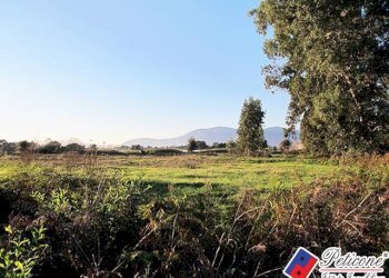 Foto 5 - Terreno agricolo Via Strada Consortile, Fondi - foto 5