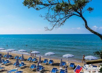 Foto 11 - Terreno agricolo Via Strada Consortile, Fondi - foto 11