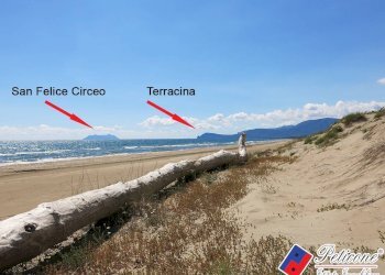 Foto 18 - Terreno agricolo Via Strada Consortile, Fondi - foto 18