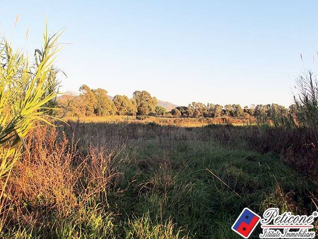 Foto 2 - Agricultural land Via Strada Consortile, Fondi - photo 2