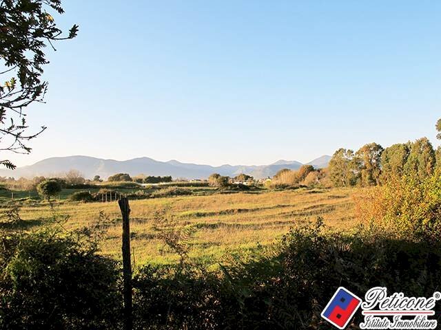 Foto 3 - Agricultural land Via Strada Consortile, Fondi - photo 3