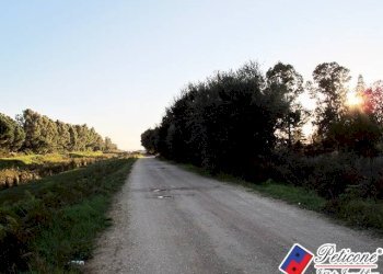 Foto 6 - Terreno agricolo Via Strada Consortile, Fondi - foto 6