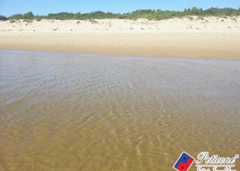 Foto 9 - Terreno agricolo Via Strada Consortile, Fondi - foto 9