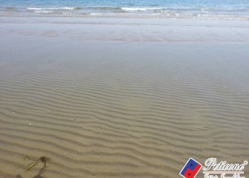 Foto 16 - Terreno agricolo Via Strada Consortile, Fondi - foto 16