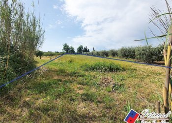 Foto 4 - Terreno agricolo Via Fontanella San Marco, Fondi - foto 4