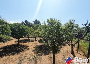 Foto 2 - Terreno agricolo Via Guado III
22, Fondi - foto 2