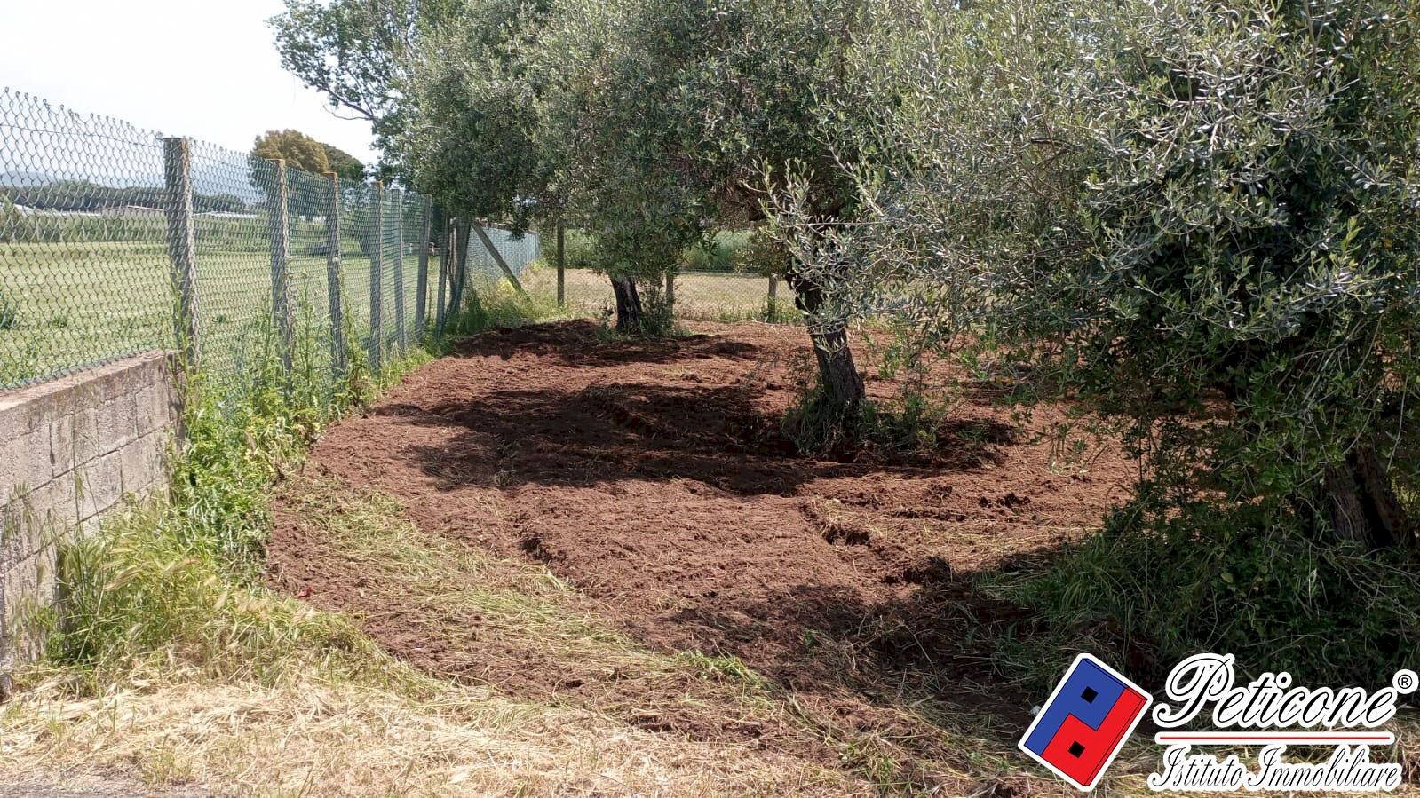 Foto 3 - Agricultural land Via s.Anastasia, Fondi - photo 3