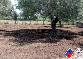 Foto 1 - Terreno agricolo Via s.Anastasia, Fondi - foto 1