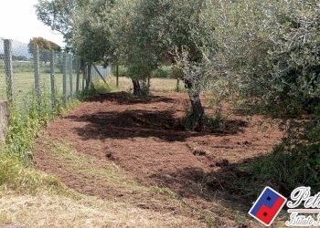 Foto 3 - Terreno agricolo Via s.Anastasia, Fondi - foto 3
