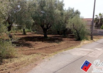 Foto 4 - Terreno agricolo Via s.Anastasia, Fondi - foto 4