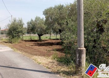 Foto 5 - Terreno agricolo Via s.Anastasia, Fondi - foto 5