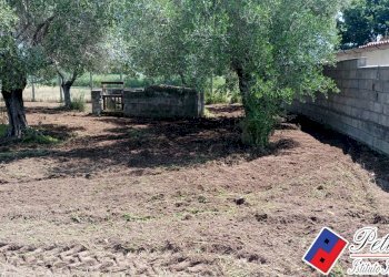 Foto 6 - Terreno agricolo Via s.Anastasia, Fondi - foto 6