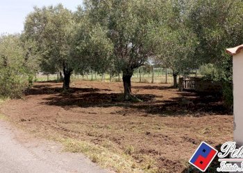 Foto 7 - Terreno agricolo Via s.Anastasia, Fondi - foto 7