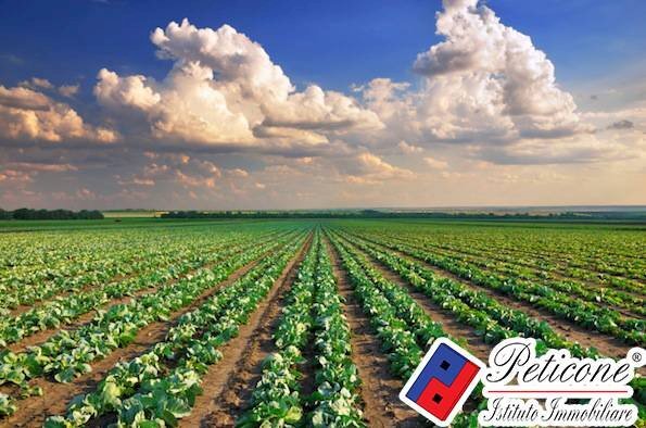 Foto 2 - Terreno agricolo Via Sant'Anastasia, Fondi - foto 2