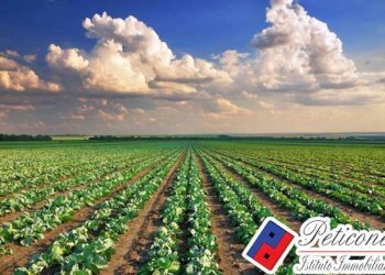 Foto 2 - Terreno agricolo Via Sant'Anastasia, Fondi - foto 2