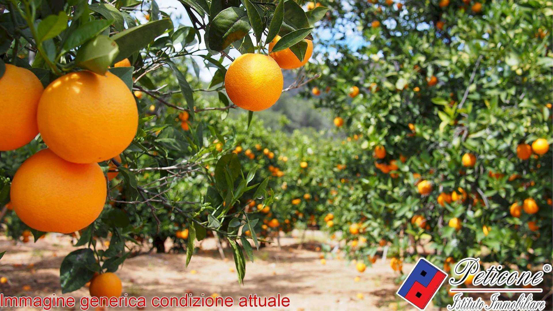 Foto 2 - Agricultural land VIA CESULO, Fondi - photo 2