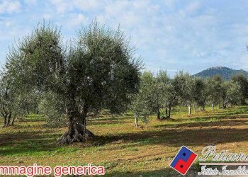 Foto 1 - Terreno agricolo VIA CESULO, Fondi - foto 1